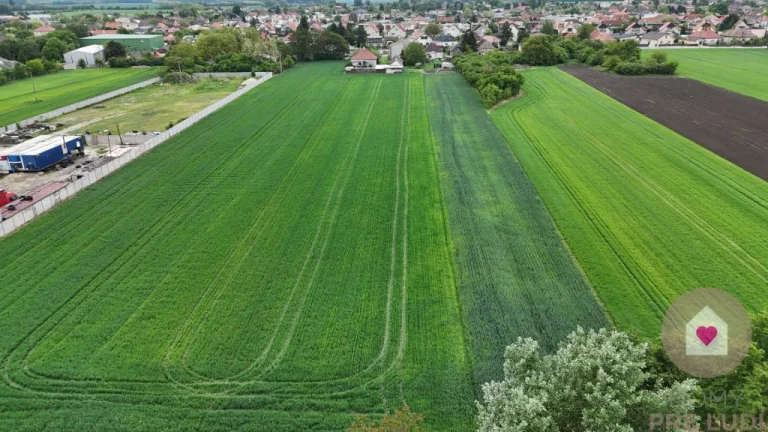 Veľký priestranný pozemok o rozlohe 7745 m2, Jelka