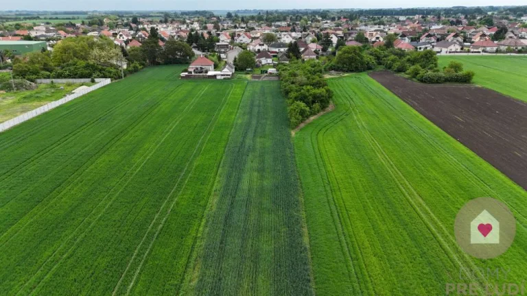Veľký priestranný pozemok o rozlohe 7745 m2 s RD, Jelka