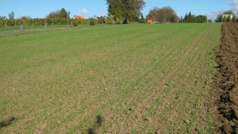 Rekreačný pozemok na chatu o výmere 3200m2.-Top ponuka