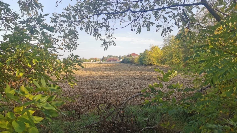 Predaj pozemku Veľlé Dvorníky, okres Dunajská Streda