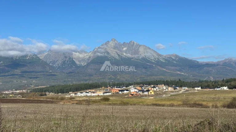 INVESTIČNÁ PRÍLEŽITOSŤ: Stav. pozemok 2999 m2; Mlynica; 269