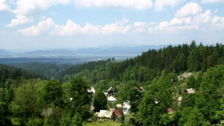 Na predaj pozemok na chatu alebo rodinný dom