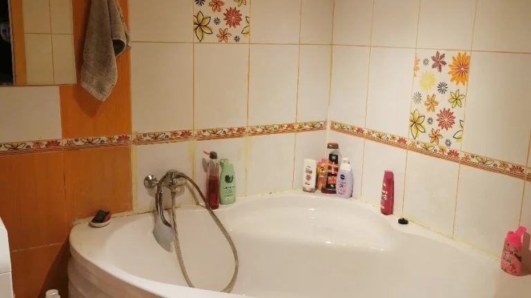 Predaj 4 izbového rodinného domu v obci Tekovské Lužany