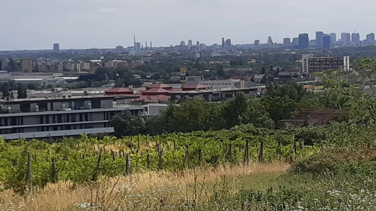 NA PREDAJ POZEMOK NA INVESTÍCIU BRATISLAVA –RAČA , KAMILKOVÁ