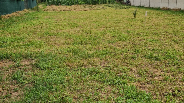 Predaj 896 m2 st.pozemok Čakajovce pri Nitre