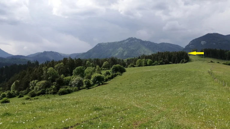 Lesný pozemok pri Liptovskej Mare - k.ú. Bobrovník