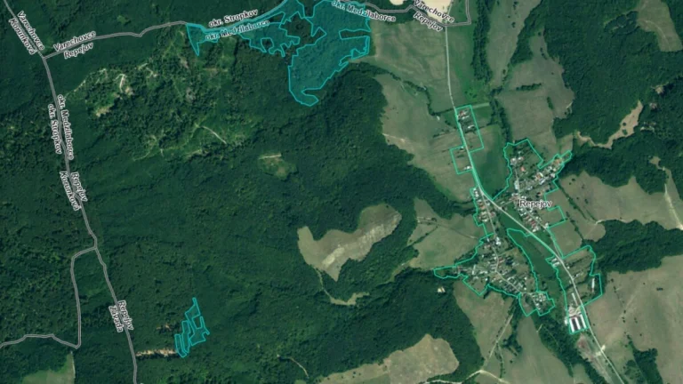 na predaj Lesný pozemok v 1/1, k.ú. Repejov