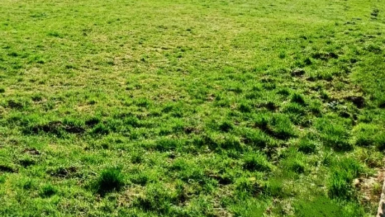 Stavebný pozemok na predaj