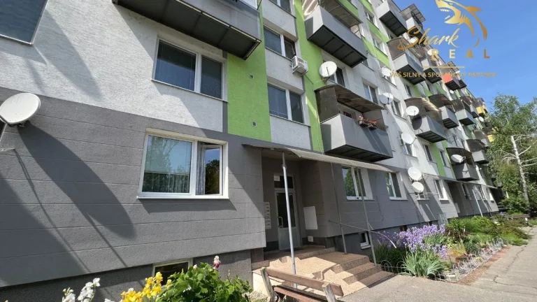 Veľký 3 izbový byt s balkónom predaj / Levice