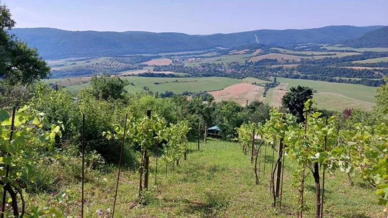 Rekreačný pozemok, Hrušov
