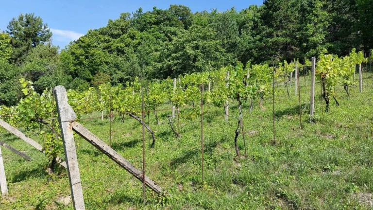 Rekreačný pozemok, Hrušov