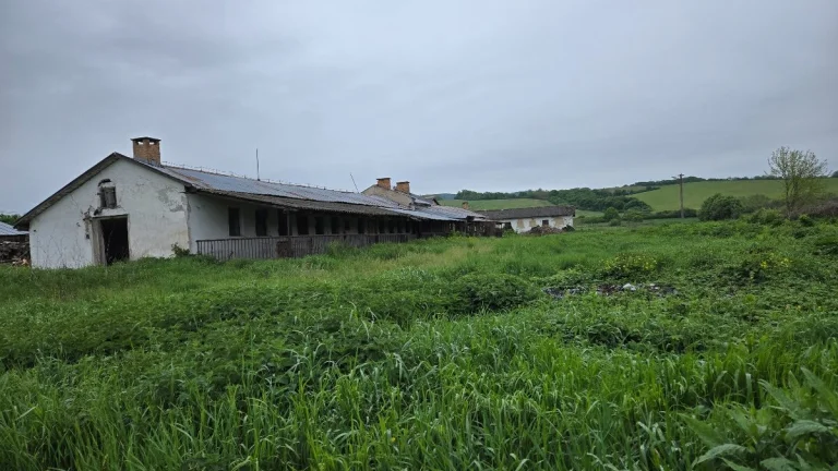Cerenčany