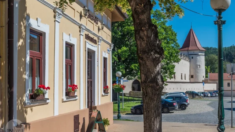 ZNÍŽENÁ CENA na objekt pre podnikanie v centre Kažmarku