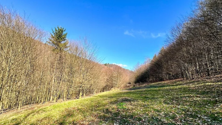 Pozemok na samote v obci Hrabičov (Žarnovica)