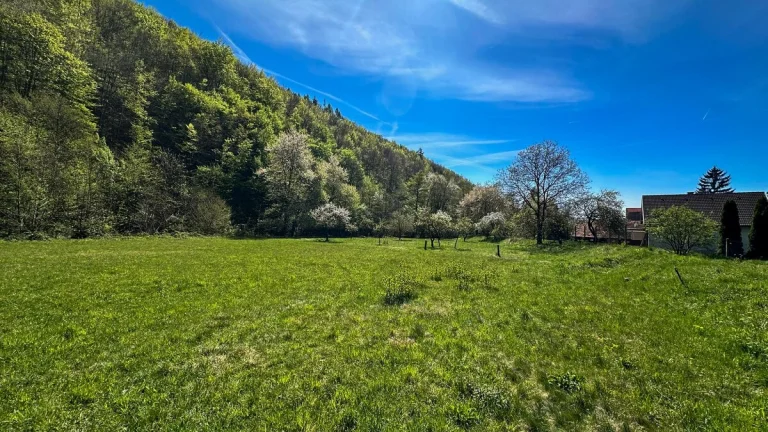 Slnečný pozemok pri potoku v obci Hrabičov (Žarnovica)