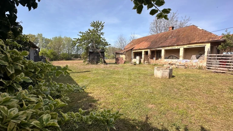 Starý sedliacky dom s veľkým pozemkom v Kolte – ideálna pr