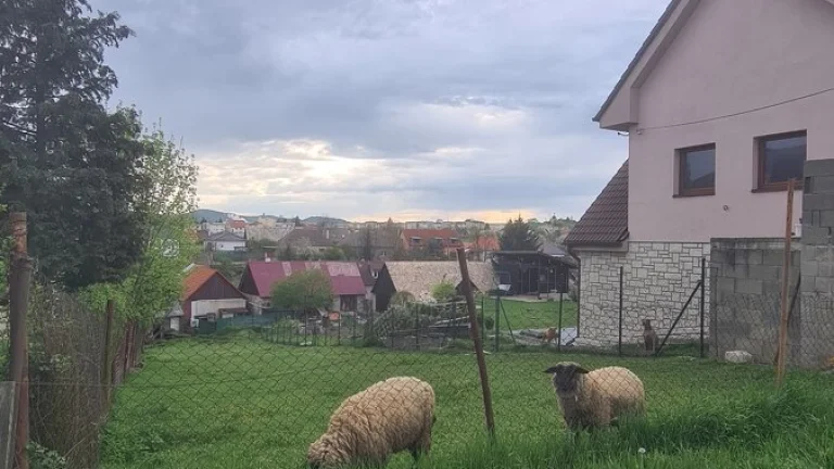 Stavebný Pozemok Neďaleko Zvolena | Lieskovec