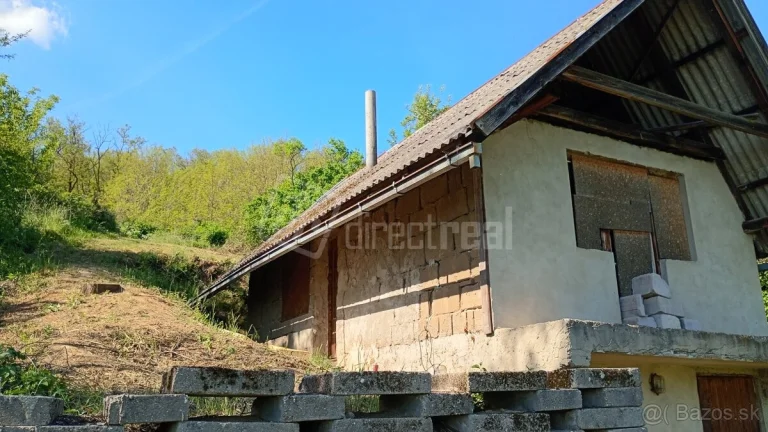 Vinica so záhradnou chatkou