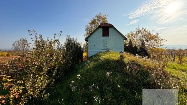 Rekreačný domček s pozemkom pri Vrábľoch na predaj