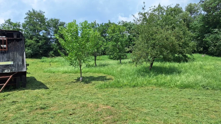 Zahrada- pozemok aj na stavbu rodinného domu