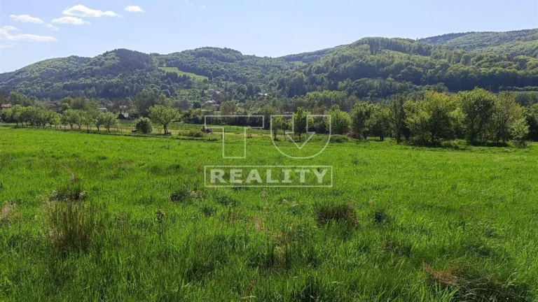 STAVEBNÝ POZEMOK PÚCHOV : VIESKA-BEZDEDOV 3024m2