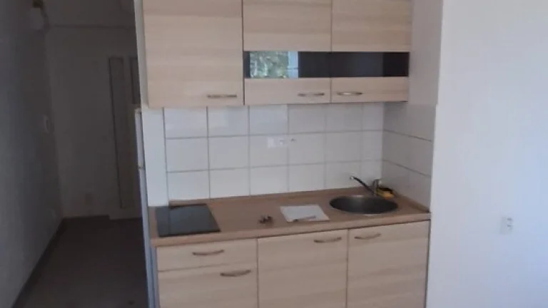 1 izbovy byt na prenajom