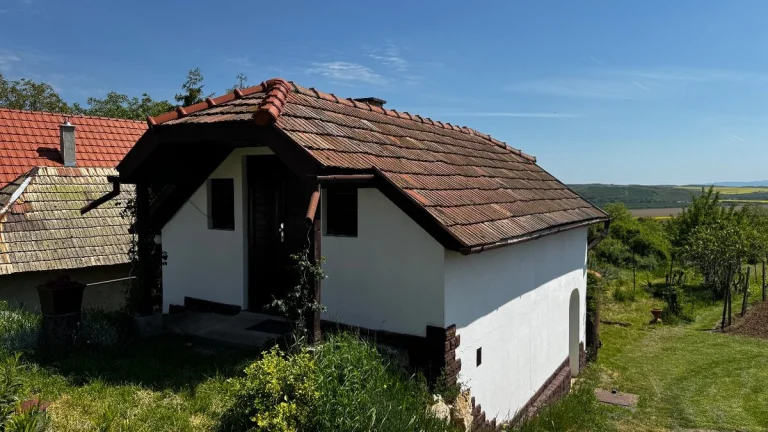Viničný Dom v kat. území Mýtne Ludany (Levice)