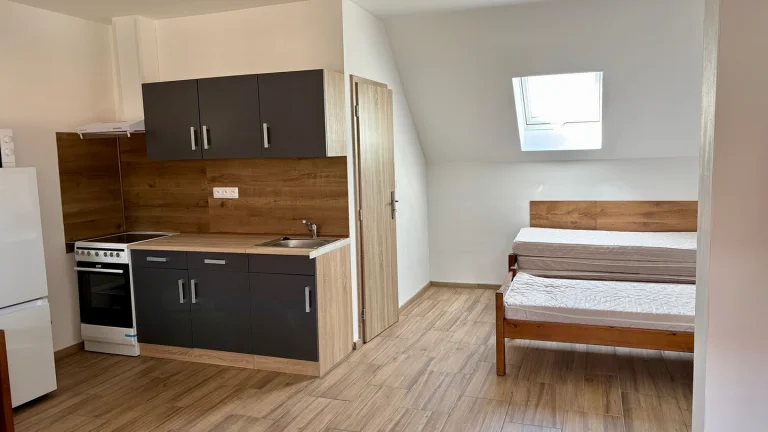 Pronájem bytu 1+kk v osobním vlastnictví 36 m², Libeř (ID 218-NP06477)