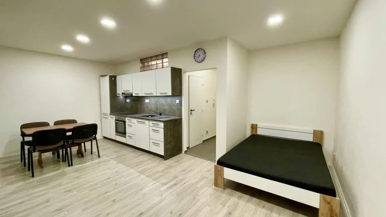 Pronájem bytu 1+kk v osobním vlastnictví 36 m², Olomouc (ID 296-NP00586)