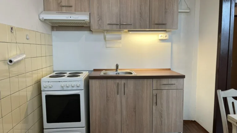 Pronájem bytu 2+1 v osobním vlastnictví 44 m², Hodonín (ID 163-NP04960)