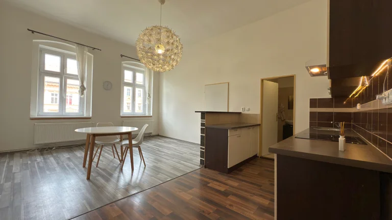 Pronájem bytu 2+kk v osobním vlastnictví 47 m², Plzeň (ID 307-NP00505)