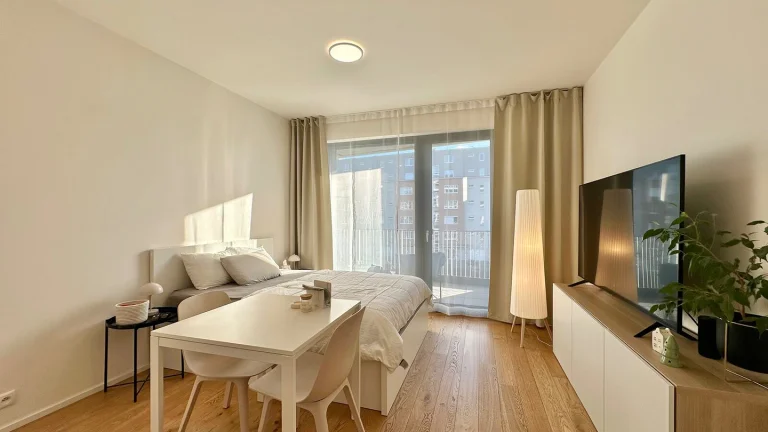 Pronájem bytu 1+kk v osobním vlastnictví 34 m², Praha 10 - Strašnice (ID 218-NP06442)