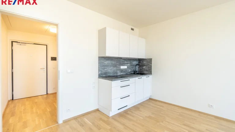 Pronájem bytu 1+kk v osobním vlastnictví 11091 m², Praha 9 - Vysočany (ID 262-NP00507)