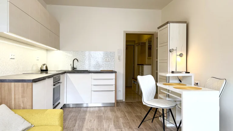 Pronájem bytu 1+kk v osobním vlastnictví 30 m², Svémyslice (ID 114-NP10001)