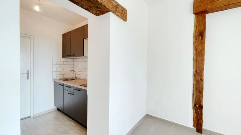 Pronájem bytu 1+kk v osobním vlastnictví 29 m², Lety (ID 261-NP01006)