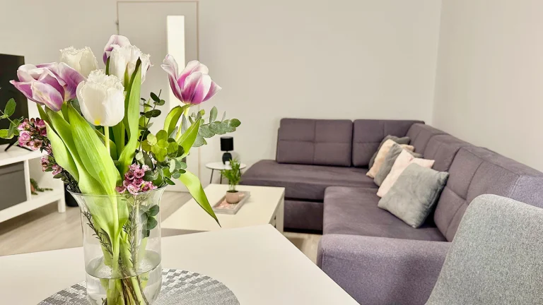 Pronájem bytu 1+1 v osobním vlastnictví 45 m², Pardubice (ID 020-NP09945)