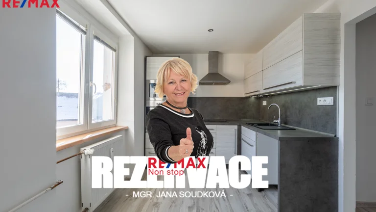 Pronájem bytu 1+1 v osobním vlastnictví 31 m², Litvínov (ID 185-NP02347)