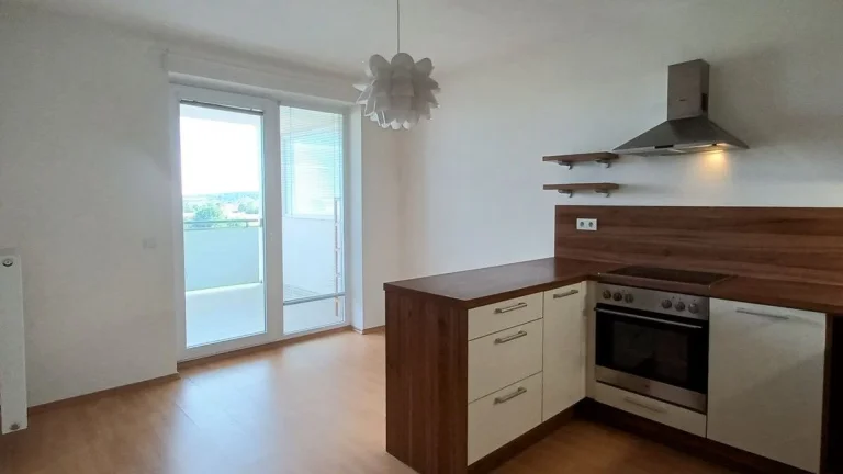 Pronájem bytu 1+kk v osobním vlastnictví 46 m², Olomouc (ID 020-NP09973)
