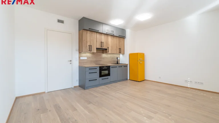 Pronájem bytu 1+kk v osobním vlastnictví 31 m², Praha 5 - Radlice (ID 205-NP11243)