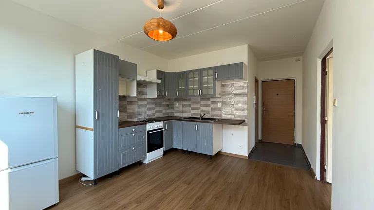 Pronájem bytu 1+1 v osobním vlastnictví 36 m², Plzeň (ID 179-NP02276)