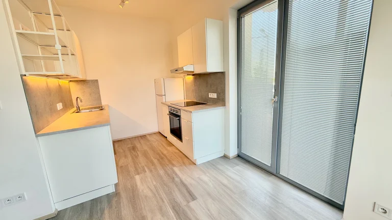 Pronájem bytu 2+kk v osobním vlastnictví 51 m², Plzeň (ID 071-NP04510)