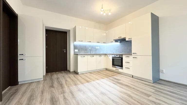 Pronájem bytu 2+kk v osobním vlastnictví 54 m², Milovice (ID 273-NP03904)