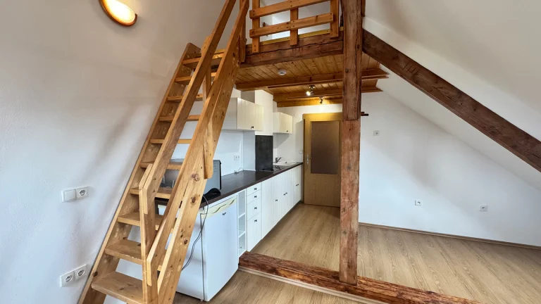 Pronájem bytu 1+kk v osobním vlastnictví 32 m², Dobříš (ID 248-NP00754)