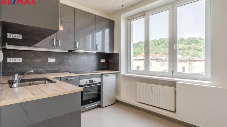 Pronájem bytu 2+1 v osobním vlastnictví 60 m², Ústí nad Labem (ID 024-NP07098)