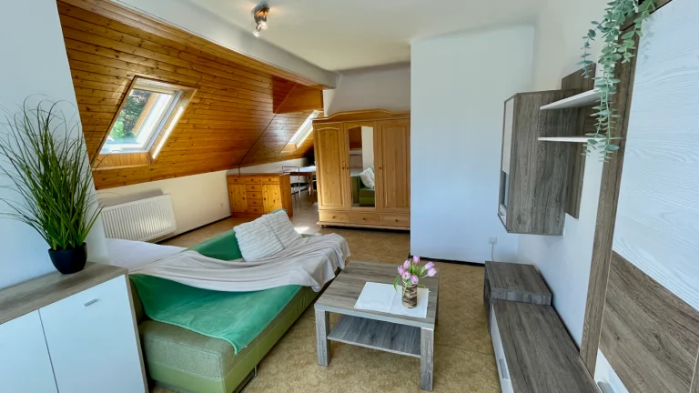 Pronájem bytu 1+kk v osobním vlastnictví 47 m², Senohraby (ID 176-NP01552)