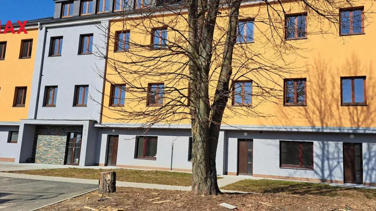 Pronájem bytu 1+kk v osobním vlastnictví 36 m², Světnov (ID 198-NP02561)