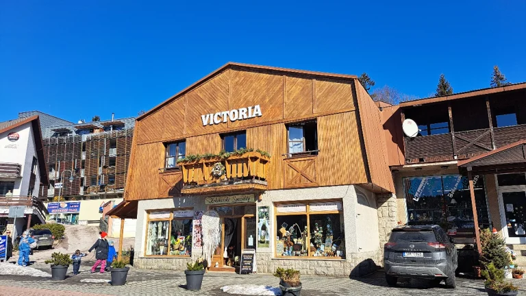 Pronájem bytu 1+kk v osobním vlastnictví 38 m², Harrachov (ID 265-NP00635)