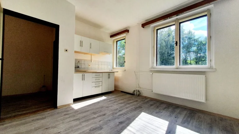 Pronájem bytu 1+kk v osobním vlastnictví 27 m², Olešnice v Orlických horách (ID 305-NP00643)