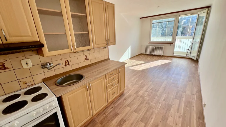 Pronájem bytu 2+kk v osobním vlastnictví 41 m², Bílina (ID 094-NP06004)