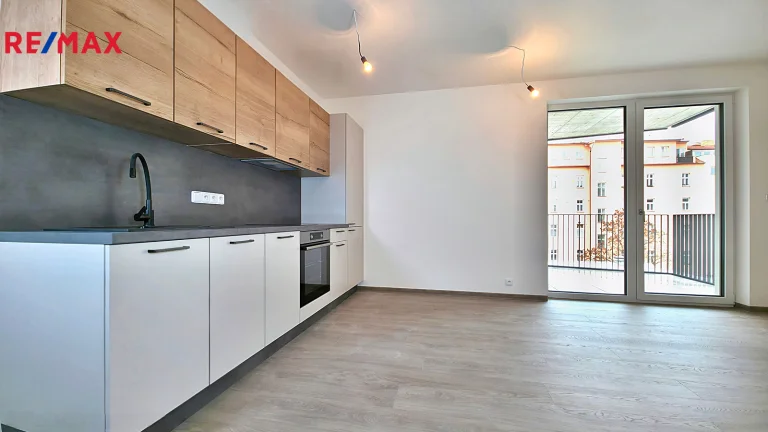 Pronájem bytu 1+kk v osobním vlastnictví 445 m², Praha 2 - Nové Město (ID 061-NP02870)